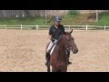 Learn How to Get a Horse Responsive to Your Leg