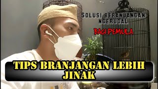 MENGATASI BRANJANGAN GIRAS | branjangan giras | branjangan parva