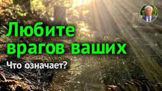 ЛЮБОВЬ К ВРАГАМ вашим. Настоящее СМИРЕНИЕ - это ...