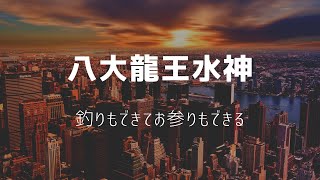 ドローンで撮影！1分で癒される今津 八大龍王水神。