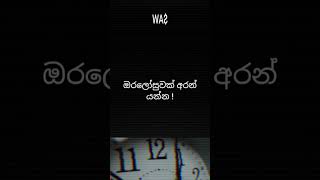 o/l maths paper 2023(2024)breaking News.සා.පෙළ ගණිතය ප්‍රශ්න  පත්‍රය පිළිබඳ විශේෂ නිවේදනයක් 🔥#remix