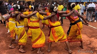 Damanjodi Demsa Dance | Koraputia Dance | Koraputia Dhemsa Video | Band Baja