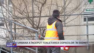 01  URBANA A ÎNCEPUT TOALETAREA COPACILOR  ÎN SIGHET