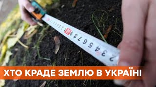 Як територія Словаччини. Скільки та як крадуть землю в Україні