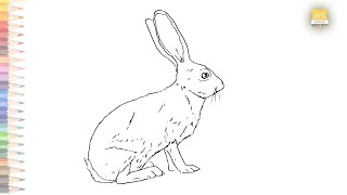 Hares drawing easy | How to draw A Hare easy step by step | Drawing tutorials | art janag | #art