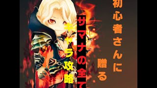 [サマナーズウォー講座]サマナ始めたよ！って人に贈る！激しく分かりやすい序盤の知識や進め方～オススメキャラ編～