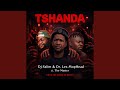 Tshanda (feat. Dr. Les MopHead & The Master)