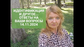 ИДЕНТИФИКАЦИЯ и др.темы.Ответы на вопросы 14.11.2024.