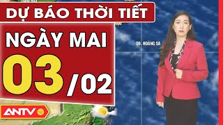 Dự báo thời tiết ngày mai 3/2: Miền Bắc nồm ẩm, Trung Bộ và Nam Bộ mưa dông | ANTV