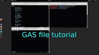 GAS x64 GNU Assembler file read write tutorial in Linux