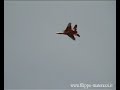 sebastiano silvestri mig 29 480p