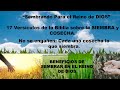 17 Versículos de la Biblia sobre la SIEMBRA y COSECHA. EL PODER DE SEMBRAR EN EL REINO DE DIOS