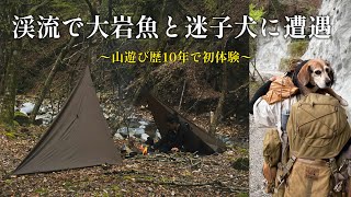 ［迷子犬］〜山奥の渓流で大岩魚と迷子犬を救助感動の再会〜