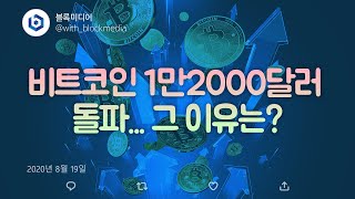 [트윗코인]21화 - 비트코인 1만2000 달러 돌파 그 이유는?