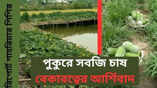 পুকুর পাড়ে সবজি চাষ ।। Vegetable cultivation ।।