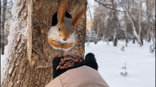 Тепло ли тебе, девица? | Are you warm, girl?