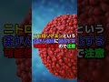 健康そうに見えて実は不健康な食べ物5選　 健康　 医療　 食べ物　 雑学