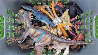 Hunting Jurassic World Evolution 2 Stegosaurus, Indoraptor, Tyrannosaurus Rex, Godzilla, Kingkong