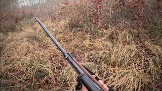 Journée de chasse en battue avec de la réussite !