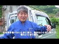 【活写】放牧牛も通勤ラッシュ？（宮崎県日之影町）