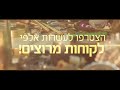 ריינר תקשורת ברגמן אמני תאורה באמפר