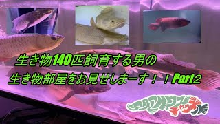 生き物140匹飼育する男の生き物部屋をお見せしまーす！！part2