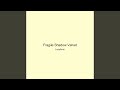 Fragile Shadow Velvet
