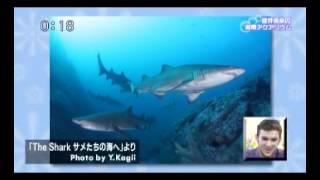 ありがとッ！湘南アクアリウム 2015年5月15日