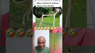 Será que ele bebeu água com limão mesmo?