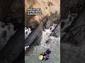 Video captures cliffside rescue in San Francisco