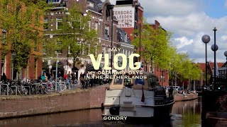 🇳🇱 Netherlands vlog / When is spring coming? Cooking and mukbang, making vegetable lasagna 🥦🥬🍆