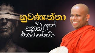 නුවණැත්තා අන්ධ උනත් එයාට පේනවා | නුවණැත්තන්ගේ ගති ස්වභා | Ven. Welimada Saddaseela Thero