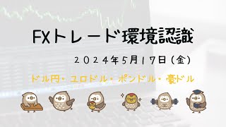 【シナリオ崩れ】2024年5月17日環境認識