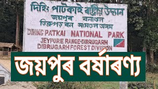 দিহিং পাটকাই বৰ্ষাৰণ্য | | Dehing Patkai Rainforest