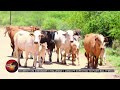 AFRICA GOOD MORNING - 3 JUNE 2026