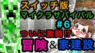 【スイッチ版マイクラ】#6 縦割り2人プレイ ついに冒険へ！そして家建築。しかし最後に…【Switch Minecraft】