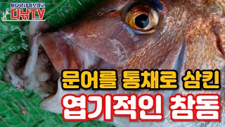 돌문어 통채로 삼키던 도중 크릴 물고 올라온 참돔-거제 참돔 선상찌낚시