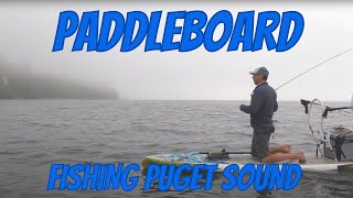 Paddleboard Coho Fly Fishing in Puget Sound
