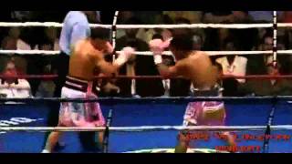 Juan Manuel Lopez vs Bernabe Concepcion Highlight