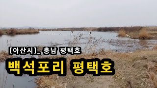 [아산시]_ 백석포리 평택호 / 부담없이 즐기는 낚시 포인트 / 주차 교통 좋은 곳 / 충남 아산시 영인면