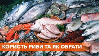 Чим корисна риба, в якій більше поживних речовин і як її вибирати