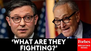 JUST IN: Speaker Johnson Unloads On Democrats As The Government Shutdown Enters Day 27