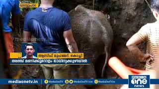 എറണാകുളത്ത് ആനക്കുട്ടി മാലിന്യക്കുഴിയില്‍: രക്ഷപ്പെടുത്തുന്ന ദൃശ്യങ്ങള്‍