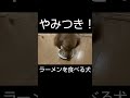 〖ゴールデンレトリバー〗やみつき！ラーメンを食べる犬