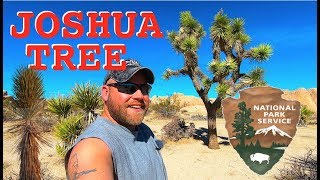 Joshua Tree National Park & Jax Bath