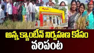 అన్న క్యాంటీన్ నిర్వహణ కోసం వరిపంట |Anna canteen | NTR District | TDP |  TV5 News Digital