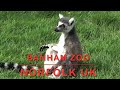 More Banham Zoo, Norfolk Uk