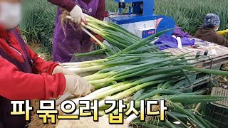 아름다운 농기계 : 대파결속기,채소결속기,farm machine,대파양단결속