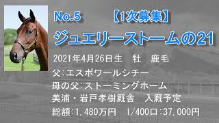 募集No.5_ジュエリーストームの21（父：エスポワールシチー）