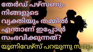 നിങ്ങളുടെ വ്യക്തിയും തേർഡ് പഴ്സണും തമ്മിൽ എന്താണ് ചെയ്യുന്നത് 💯 | #tarot #astrology